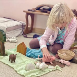 539124831 701649219590776 4986879477373240032 N