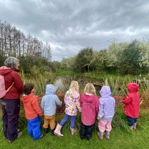 540337885 708933078862390 3820191759392369238 N