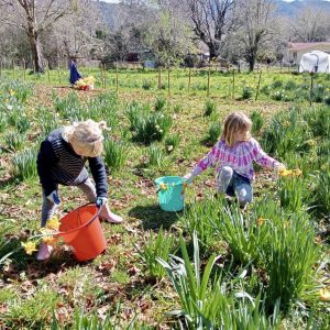 542757076 709473168808381 1063163355811337863 N